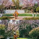 世博园 - 昆明市旅游 缩略图 3
