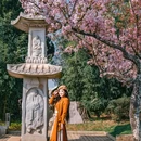 世博园 - 昆明市旅游 缩略图 1