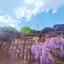 世博园 - 昆明市旅游 缩略图 8