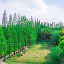沙溪古镇 - 苏州市旅游 缩略图 6