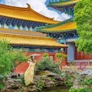 影视基地-三国水浒城 - 无锡市旅游 缩略图 7