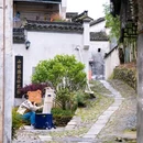 南屏景区 - 黄山市旅游 缩略图 7