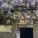 青岛市美术馆 - 青岛市旅游 缩略图 5