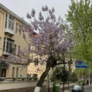 青岛市美术馆 - 青岛市旅游 缩略图 6