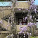 青岛市美术馆 - 青岛市旅游 缩略图 9