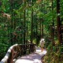 双童山景区 - 丽水市旅游 缩略图 9