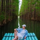 金湖水上森林景区 - 淮安市旅游 缩略图 3