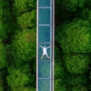 金湖水上森林景区 - 淮安市旅游 缩略图 8
