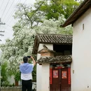 大理剑川宾馆 - 大理白族自治州旅游 缩略图 6