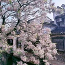 绍兴东湖风景区 - 绍兴市旅游 缩略图 5