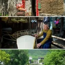 黄山风景区 - 黄山市旅游 缩略图 7