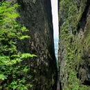 江郎山风景区 - 衢州市旅游 缩略图 4