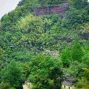江郎山风景区 - 衢州市旅游 缩略图 8