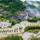 丽水苑 - 太原市旅游 缩略图 2