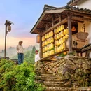 丽水苑 - 太原市旅游 缩略图 9