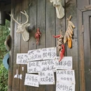 重庆南山风景区 - 重庆市旅游 缩略图 1