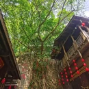 重庆南山风景区 - 重庆市旅游 缩略图 2