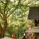 重庆南山风景区 - 重庆市旅游 缩略图 3