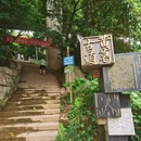 重庆南山风景区 - 重庆市旅游 缩略图 9