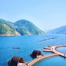 橄榄湖小院 - 福州市旅游 缩略图 2