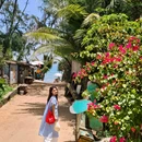 孟菜园 - 琼海市旅游 缩略图 9