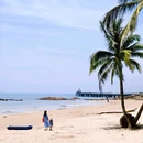 孟菜园 - 琼海市旅游 缩略图 8