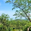 冠嶂古道 - 无锡市旅游 缩略图 1
