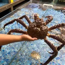 米煮鲜·毋米粥海鲜火锅·商务宴请(宝安中心店) - 深圳市旅游 缩略图 8