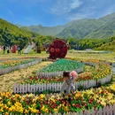 熊猫部落探险乐园 - 湖州市旅游 缩略图 7