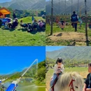熊猫部落探险乐园 - 湖州市旅游 缩略图 9