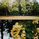 府山公园-孔子文化公园 - 衢州市旅游 缩略图 7