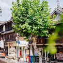路桥十里长街 - 台州市旅游 缩略图 8