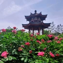 大慈恩寺 - 西安市旅游 缩略图 3