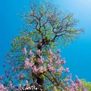 恭俭胡同 - 北京市旅游 缩略图 2