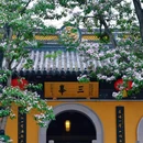 清凉禅寺 - 常州市旅游 缩略图 3