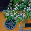 清凉禅寺 - 常州市旅游 缩略图 2