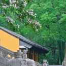清凉禅寺 - 常州市旅游 缩略图 9