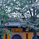 清凉禅寺 - 常州市旅游 缩略图 7