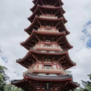 温州大剧院 - 温州市旅游 缩略图 7