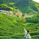 龙井·十里琅珰 - 杭州市旅游 缩略图 1