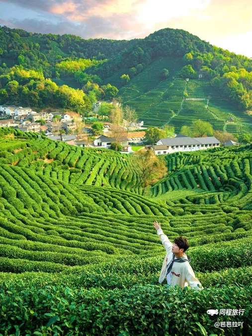 龙井·十里琅珰 - 杭州市旅游