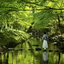 西湖风景名胜区 - 杭州旅游 缩略图 1