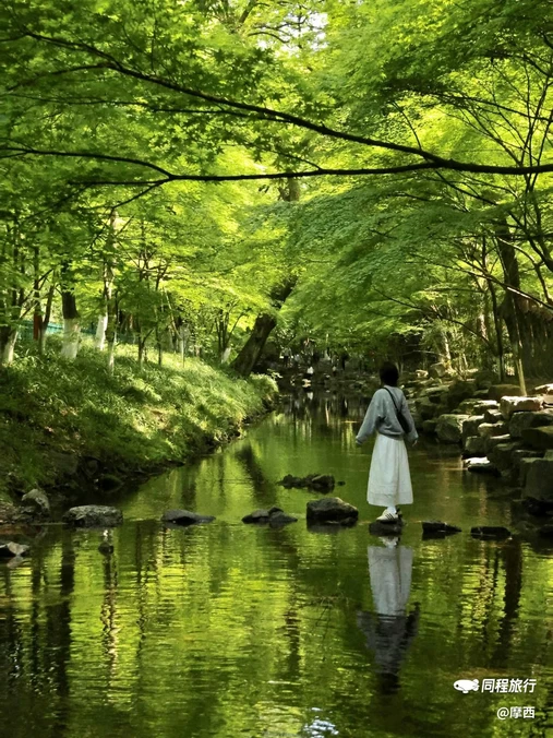 西湖风景名胜区 - 杭州旅游
