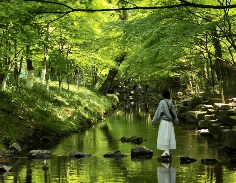 西湖风景名胜区 - 杭州旅游 1