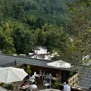 西湖风景名胜区 - 杭州旅游 缩略图 4