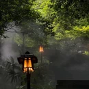 西湖风景名胜区 - 杭州旅游 缩略图 3
