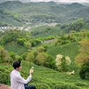 龙井·十里琅珰 - 杭州市旅游 缩略图 5