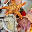 袁富贵海鲜火锅大排档(中庚漫游城店) - 上海市旅游 缩略图 5