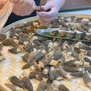 赵美丽重庆火锅(财富广场店) - 上海市旅游 缩略图 8