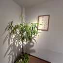 小山梨月·西餐素食(泰寓路店) - 宁波市旅游 缩略图 9